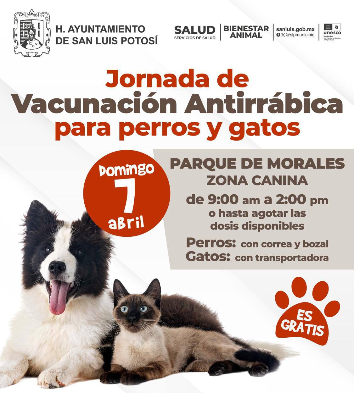 AYUNTAMIENTO DE SLP REALIZARÁ VACUNACIÓN ANTIRRÁBICA CANINA Y FELINA