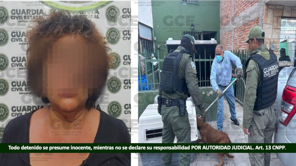 DETIENEN A MUJER POR MALTRATO ANIMAL EN LA COLONIA PRADOS
