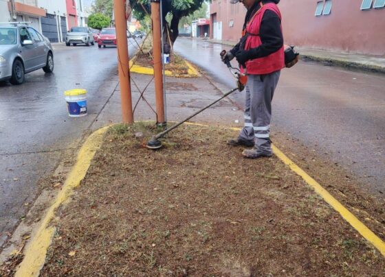 Mantiene Ayuntamiento de SLP acciones permanentes de mejoramiento urbano