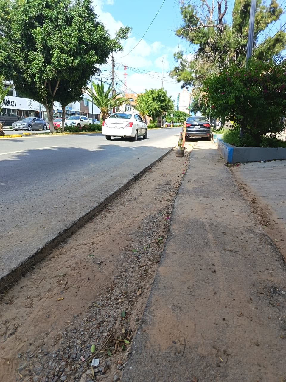 En etapa final rehabilitación sanitaria en avenida Carranza: Interapas