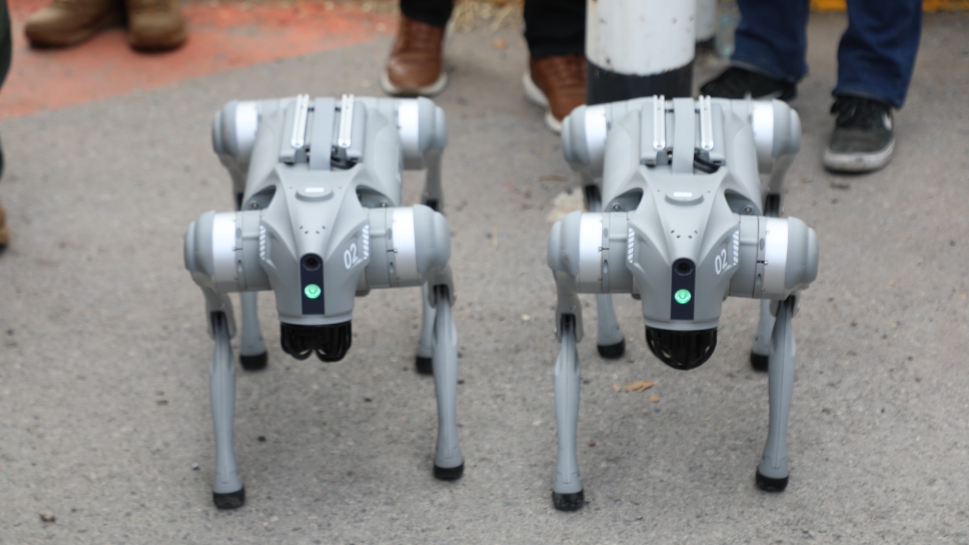 Implementación de perros robot reducirá riesgos para elementos de seguridad en San Luis Potosí
