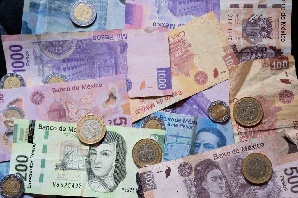 Más de la mitad de los hogares potosinos complementan su economía con ingresos ajenos al empleo