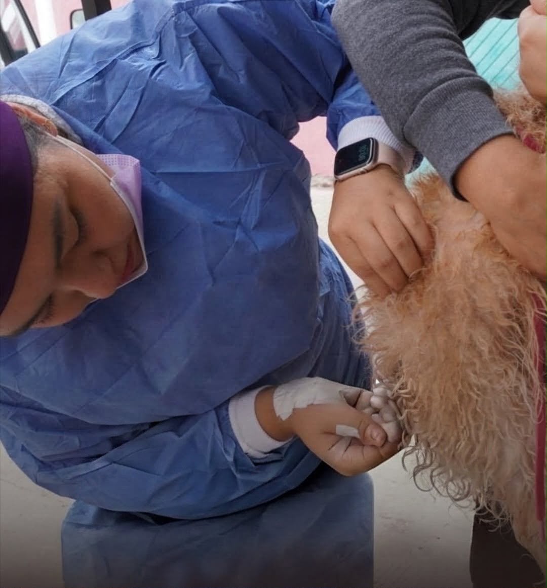 Gobierno de la Capital fortalece las Jornadas de Salud Animal con más de 380 acciones en dos colonias