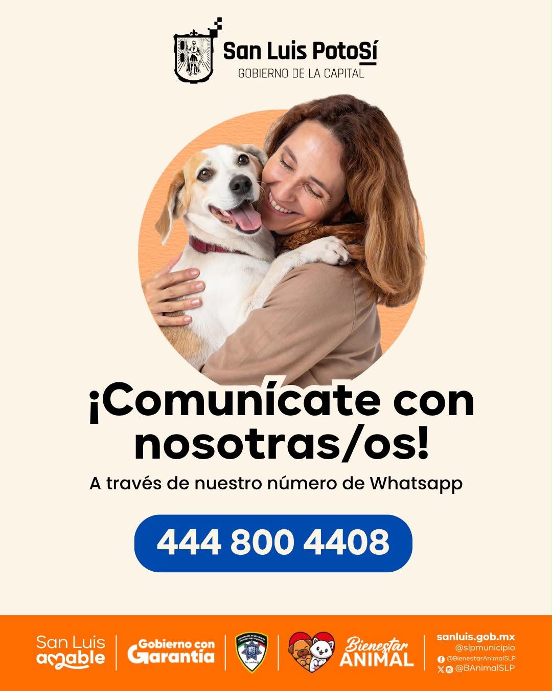 Gobierno Municipal habilita WhatsApp para ampliar la atención de Bienestar Animal