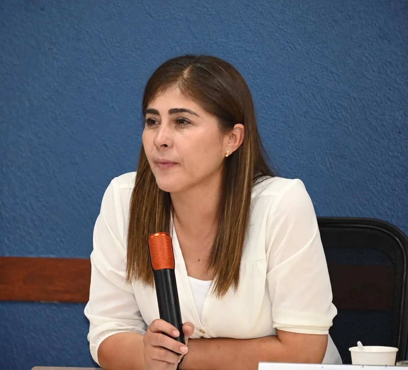 Plantean fortalecer presupuesto para la protección y autonomía de las mujeres en San Luis Capital